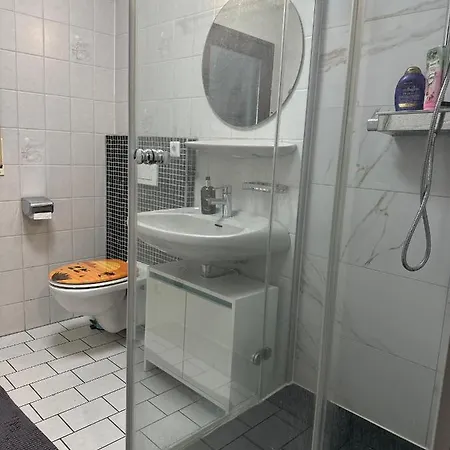 Apartment Zimmer/wohnung Im Zentrum